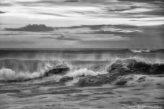 Dodging Shadows B&W Prints