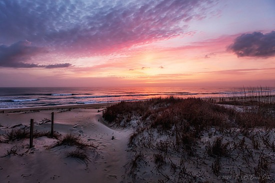 Latest Social Media Images